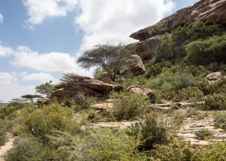 Maisemia Somalimaassa