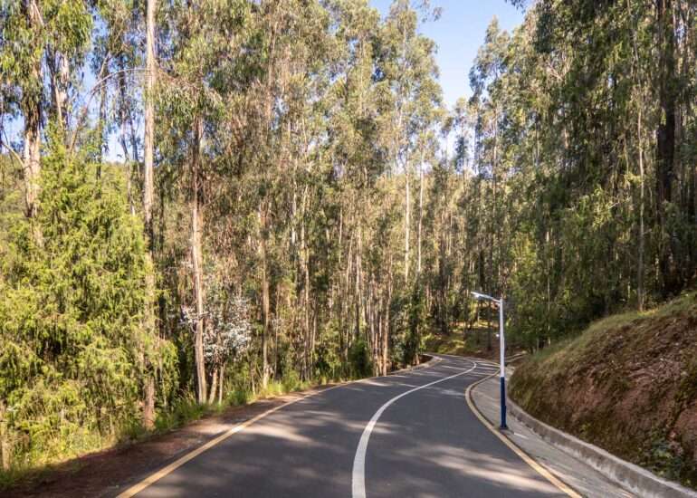 Entoto park Addis Abeba