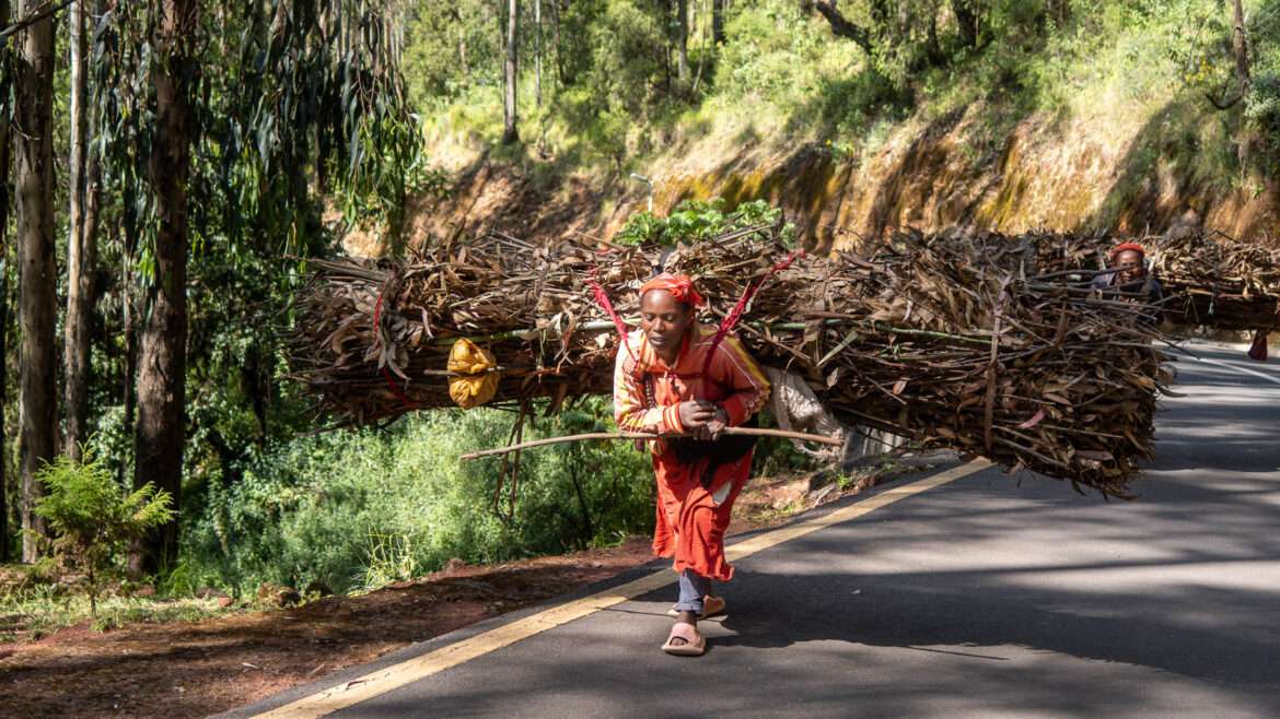 Entoto park Addis Abeba