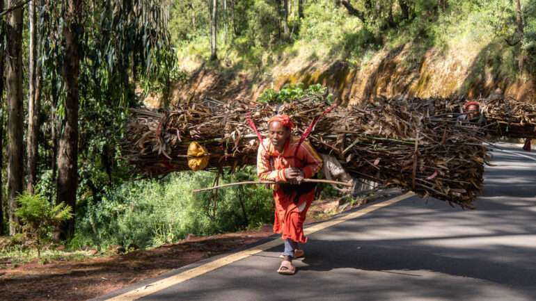 Entoto park Addis Abeba