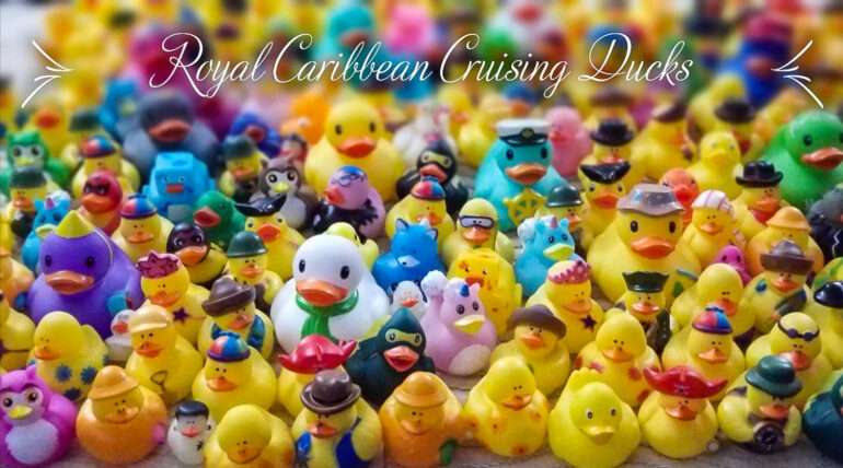 Royal Caribbean ankat