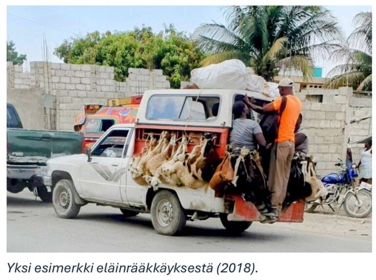 Suoniemi Haiti Matkalla maailman kaikissa maissa
