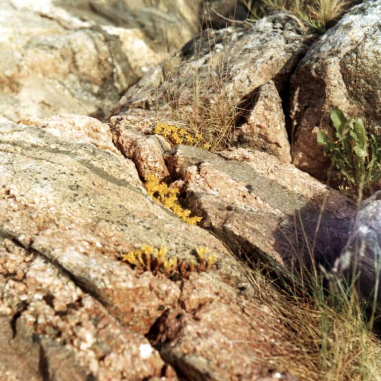 Eerola Parainen 1970-luku