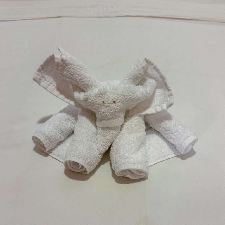 Pyyhe-eläin Viikon risteily Karibialla