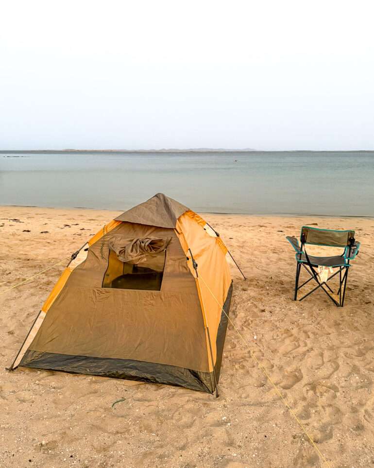 Teltat Dessie Eritrea