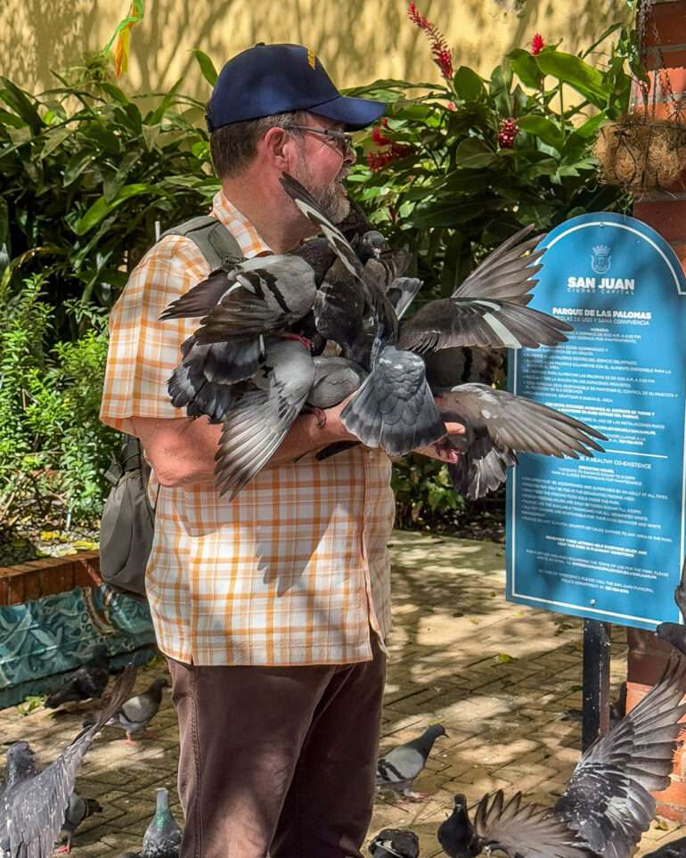 Kyyhkyspuisto Puerto Rico