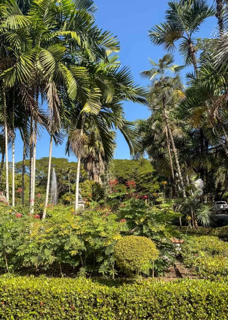 Kuukausi Karibialla kustannukset