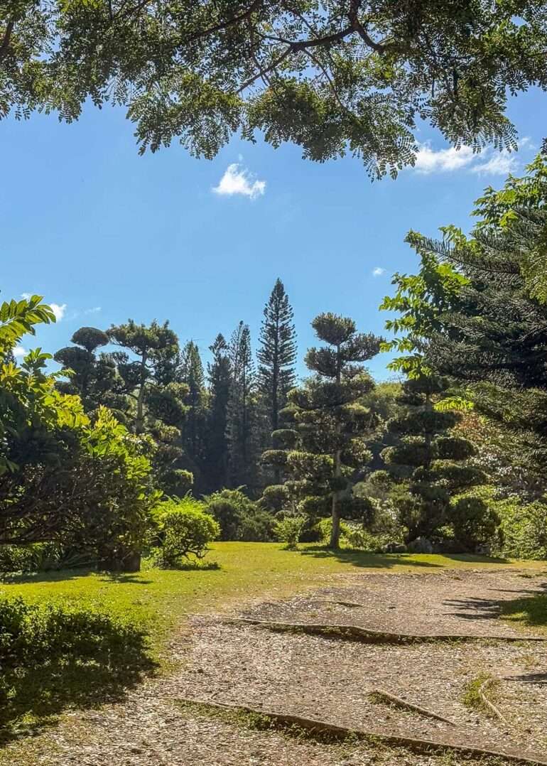 Kuukausi Karibialla kustannukset