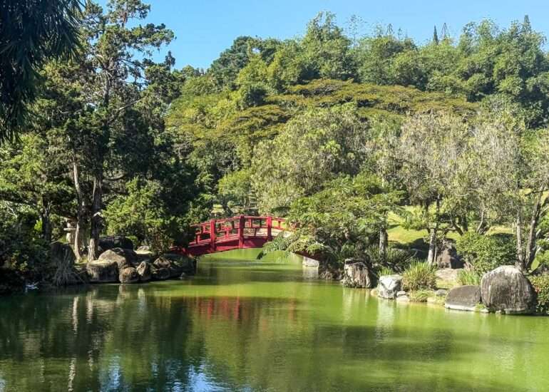 Kuukausi Karibialla kustannukset