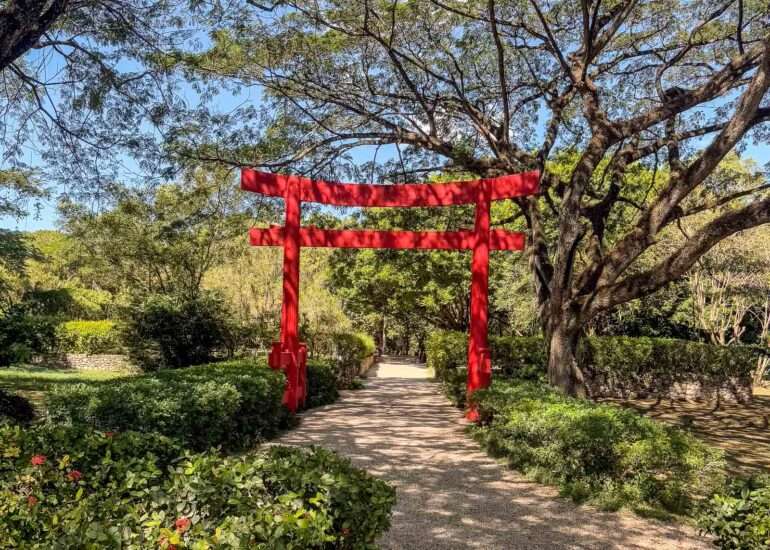 Kuukausi Karibialla kustannukset