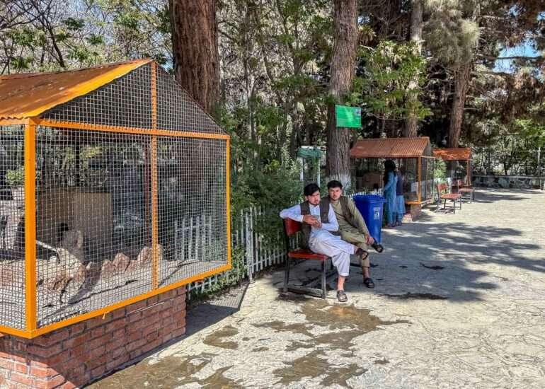 Kabul Zoo