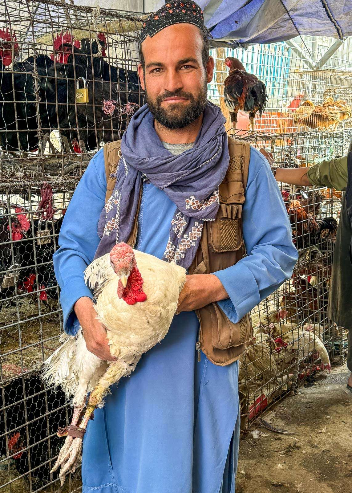 Lintubasaari Afganistan