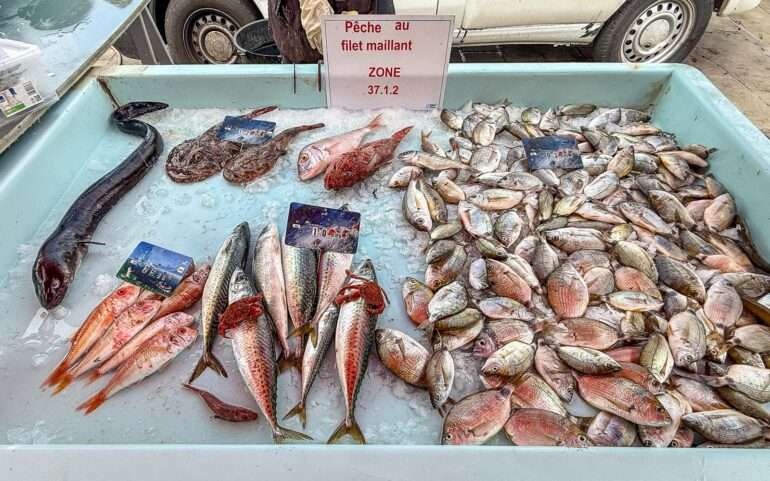 Vieux-Port Marseille