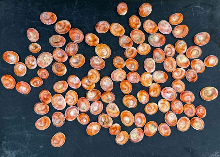 Vieux-Port Marseille