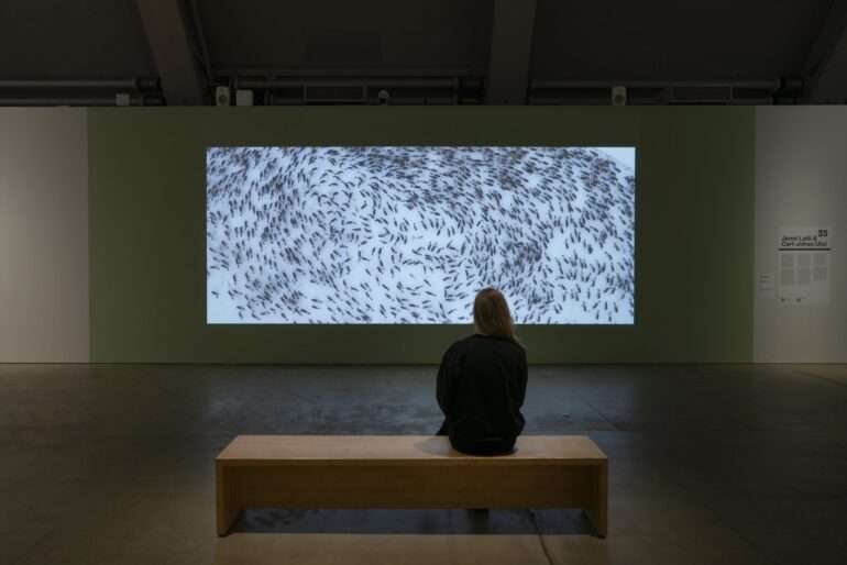 Jenni-Laiti-ja-Carl-Johan-Utsi_Isoaitimme-kyyneleet-1-2048x1366