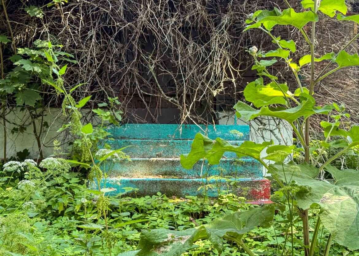 nabteeri Vallisaari 2025