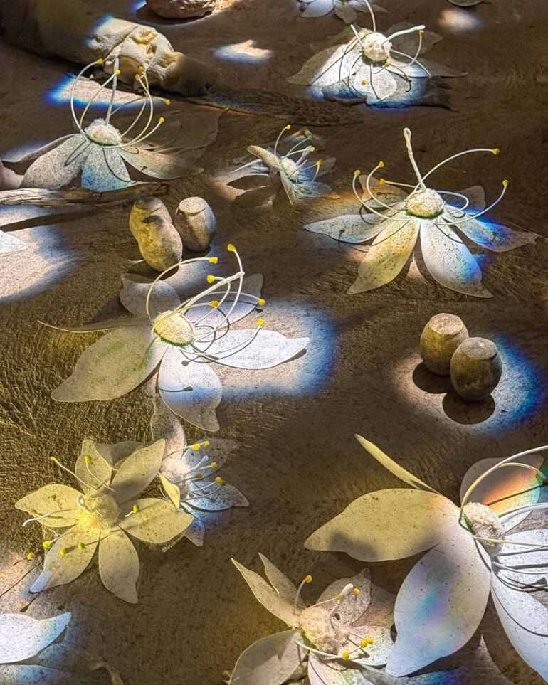 Paul Rosero Contreras