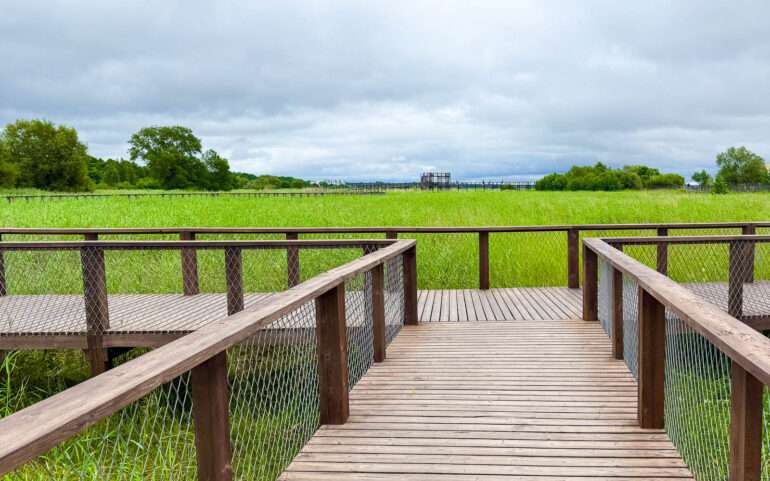 pärnu rantaniityn luontopolku