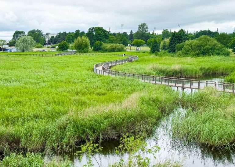 pärnu rantaniityn luontopolku
