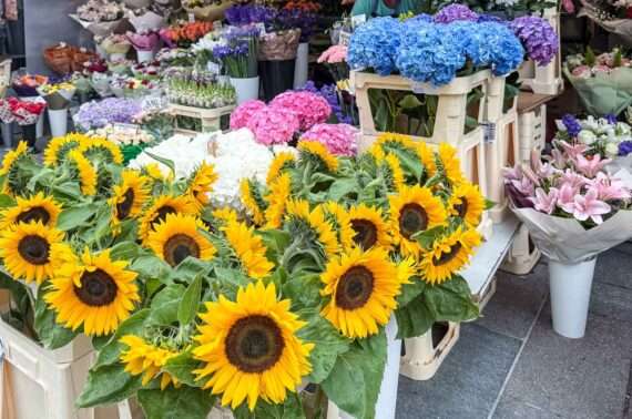 Tallinna Helsinki 60 vuotta