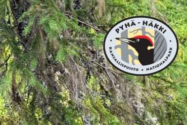 Pyhä-Häkin kansallispuisto