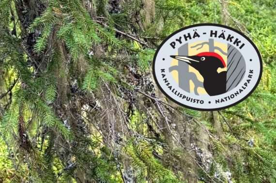 Pyhä-Häkin kansallispuisto