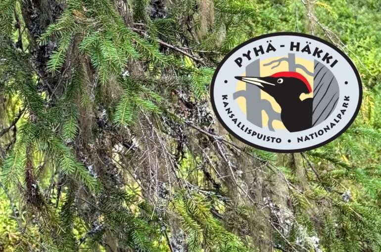 Pyhä-Häkin kansallispuisto