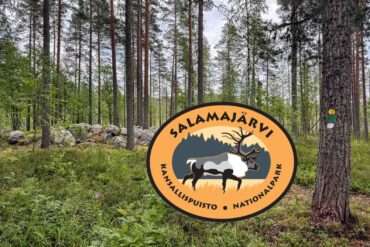 Salamajärvi otsikkokuva