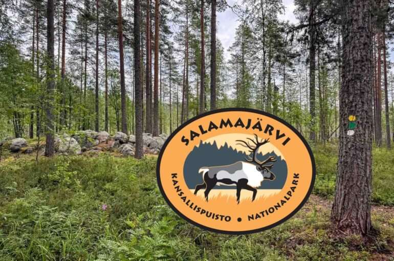 Salamajärvi otsikkokuva