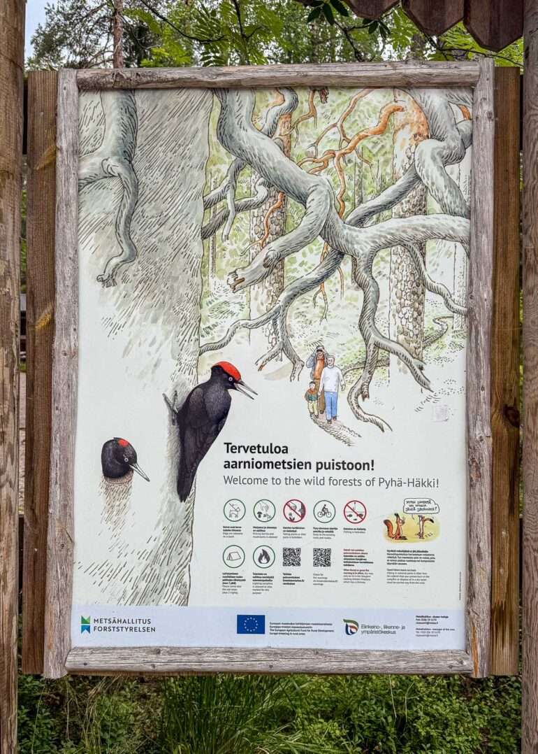 Pyhä-Häkin kansallispuisto