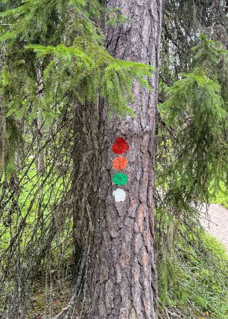 Pyhä-Häkin kansallispuisto