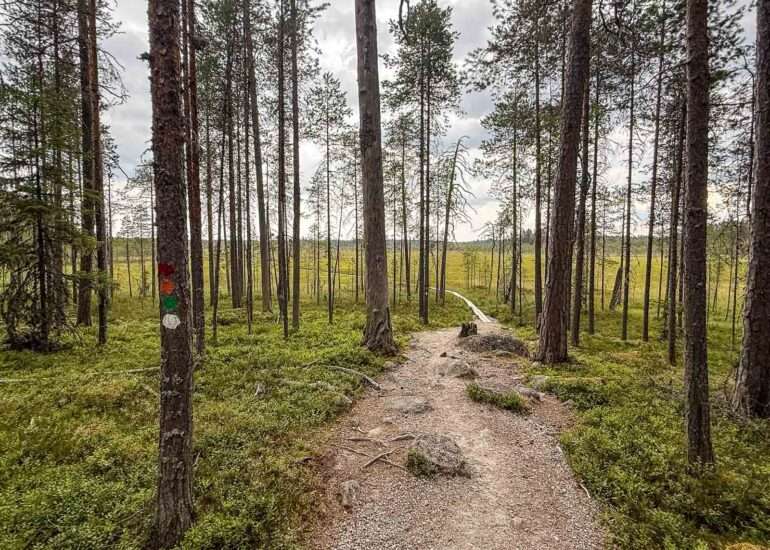 Pyhä-Häkin kansallispuisto