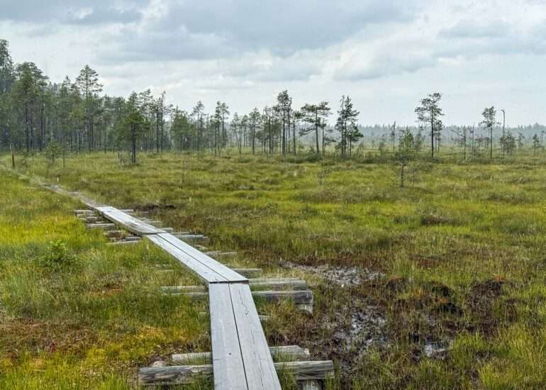 Pyhä-Häkin kansallispuisto