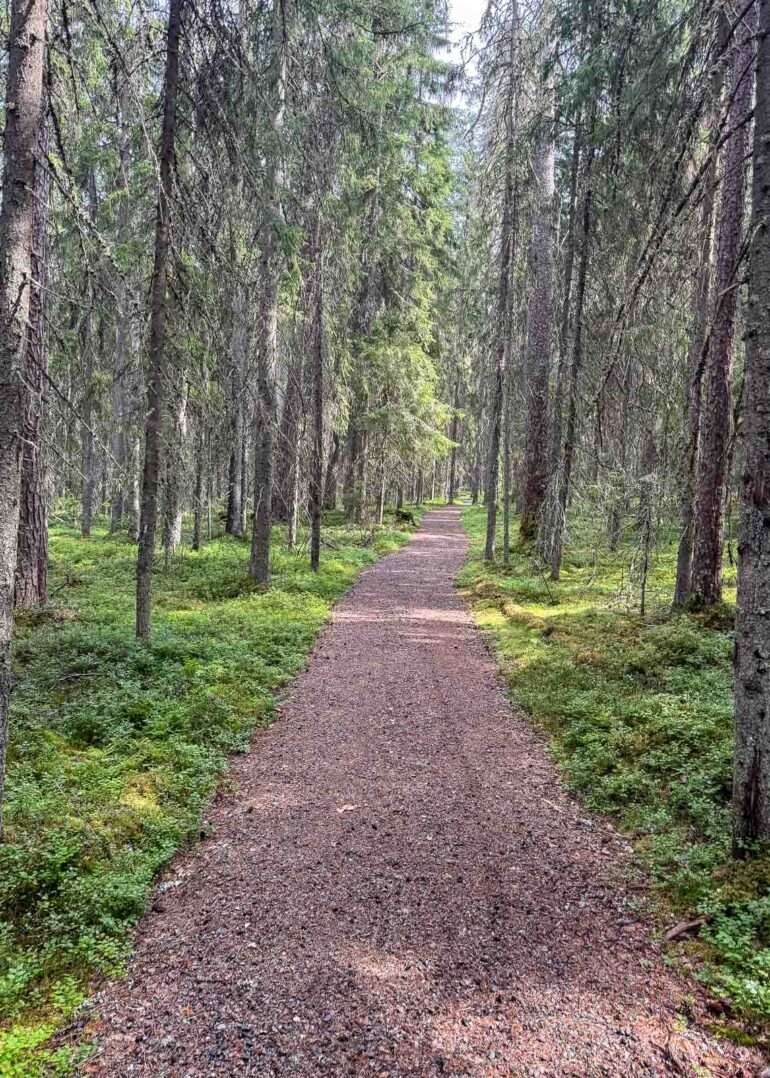 Pyhä-Häkin kansallispuisto