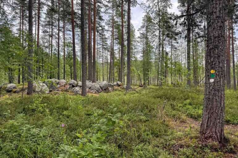 Salamajärven kansallispuisto