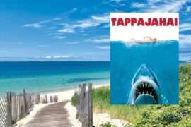 Tappajahai feature