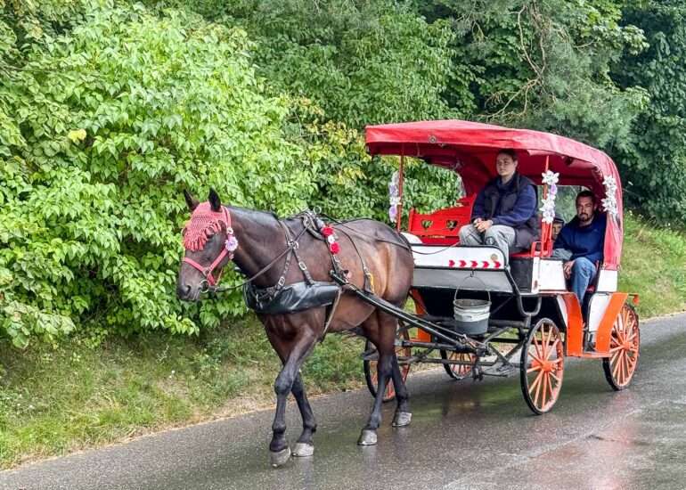 Kuurinkynnäs Klaipeda