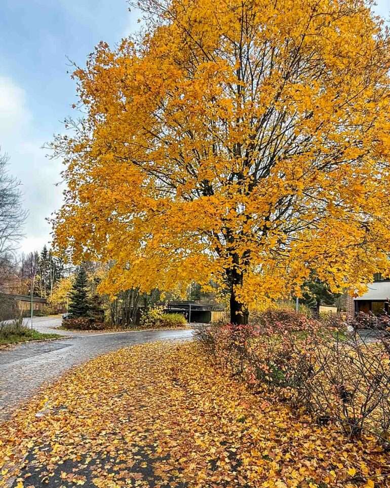 Lokakuusta marraskuuhun