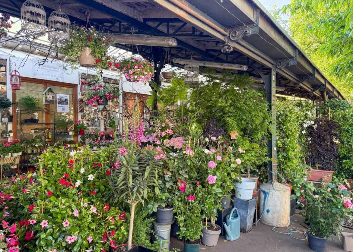 Kukkatori Keväinen Pariisi