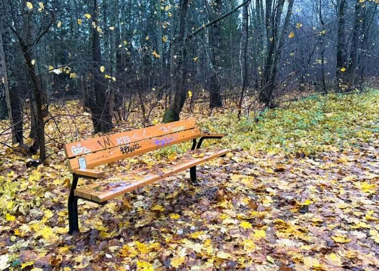 Lokakuusta marraskuuhun