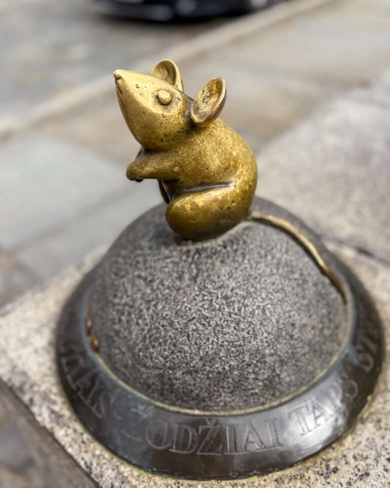 Klaipeda Matkavuosi 2025