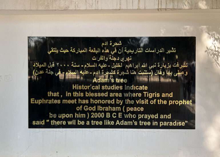 Adams tree Al Qurnah