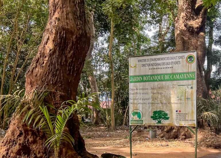 Kasvitieteellinen puutarha Conakry