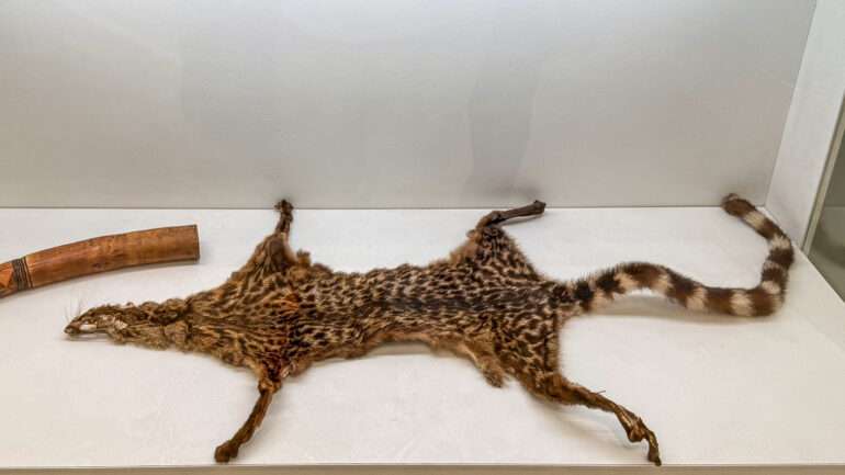 Musée national des Arts, Rites et Traditions