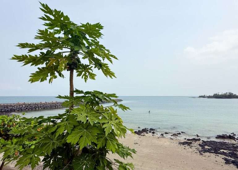 Sipopon konferenssikeskus