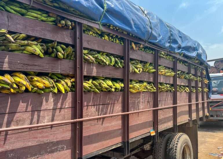 Librevillestä Lambareneen Lambarene Albert Schweitzer