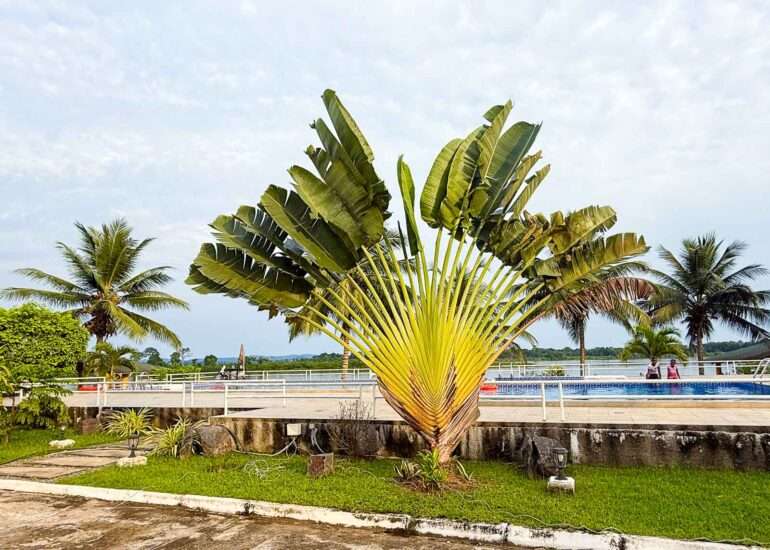 Lambarene Albert Schweitzer