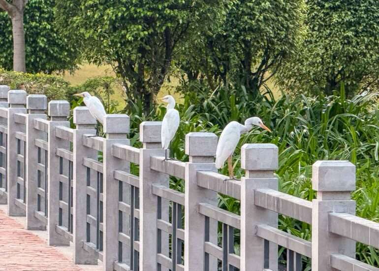 Parc Nacional Malabo