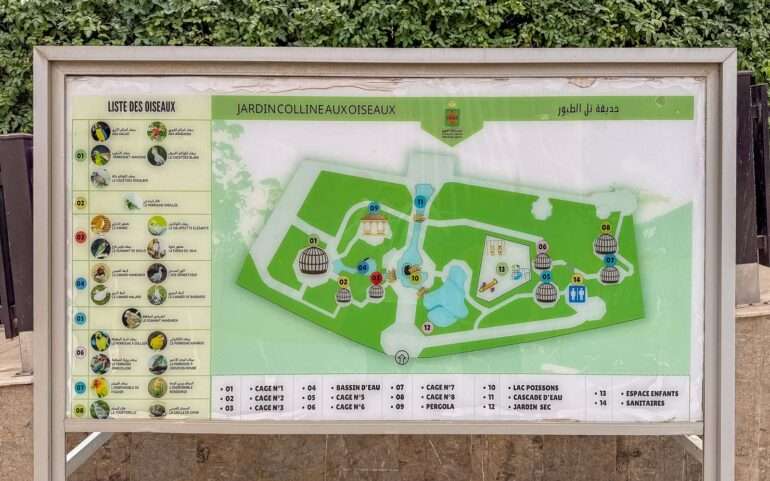 Lintupuistohaaste Laayoune