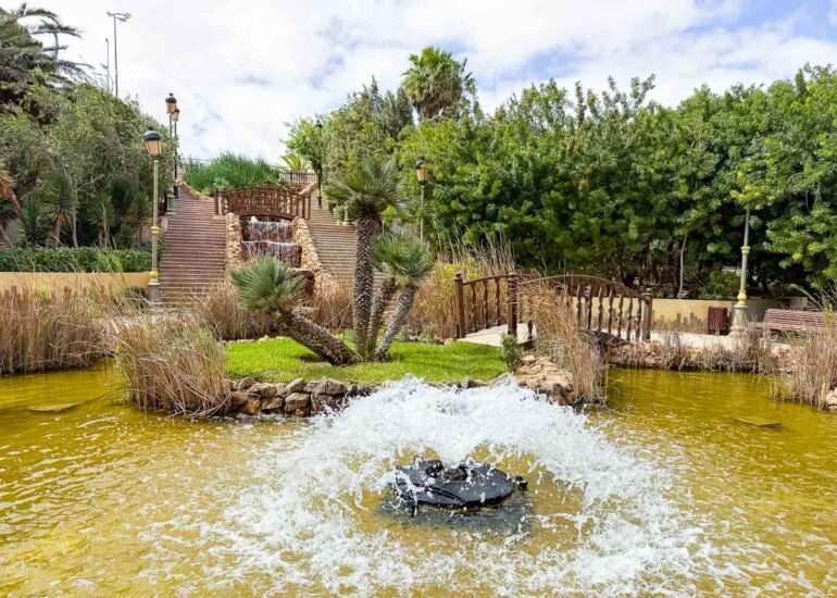 Lintupuisto Laayoune